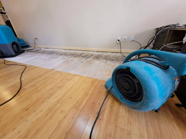 Professional Sewage Cleanup technician working in Hoodsport, WA